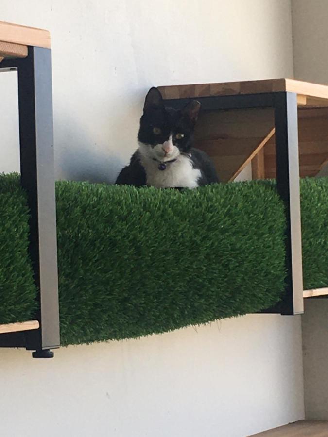 Hemei Homestay Homei エクステリア 写真