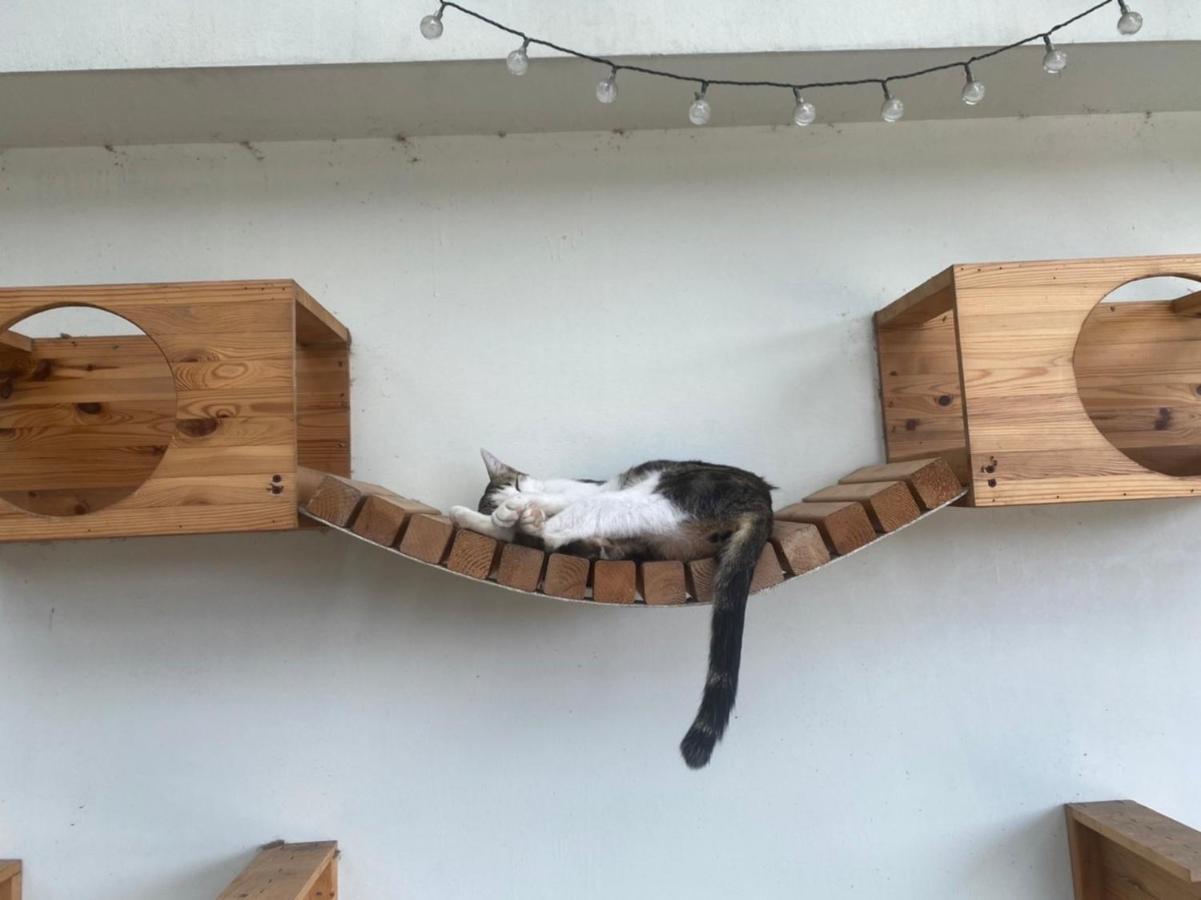 Hemei Homestay Homei エクステリア 写真
