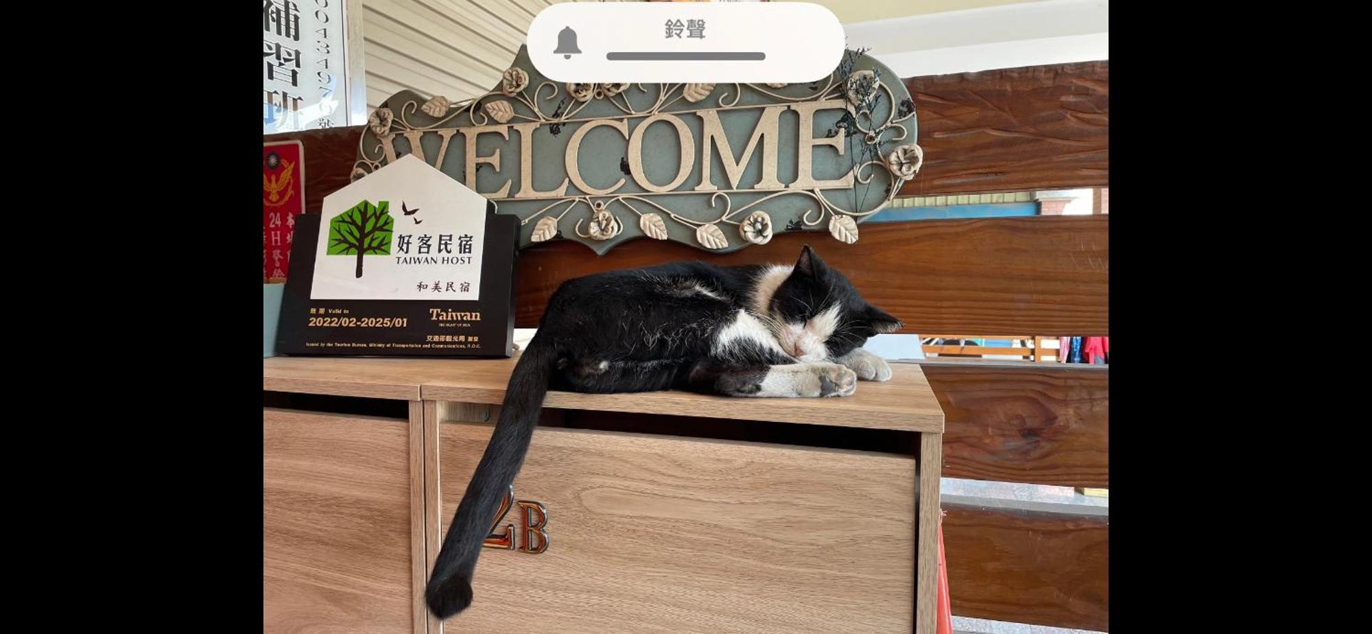 Hemei Homestay Homei エクステリア 写真