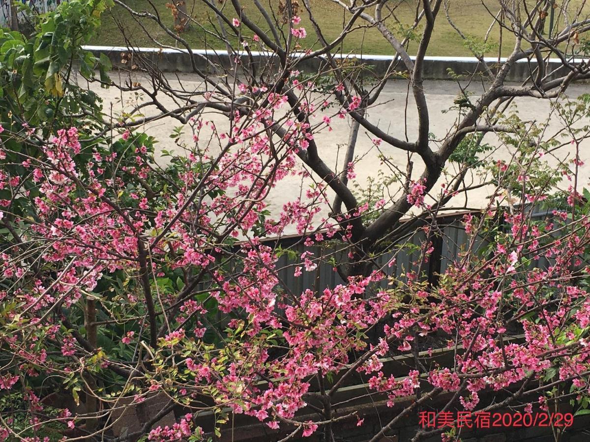 Hemei Homestay Homei エクステリア 写真
